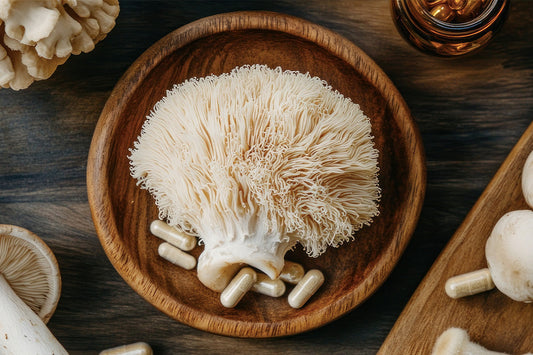 Lion’s Mane – jak grzyb soplówka jeżowata wspiera mózg i pamięć?
