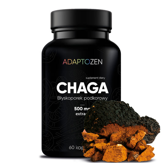 Adaptozen CHAGA ekstrakt z błyskoporka podkorowego, 60 kapsułek